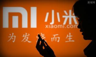 小米发布会最新爆料视频,颠覆性新品亮相，科技盛宴即将开启  第1张